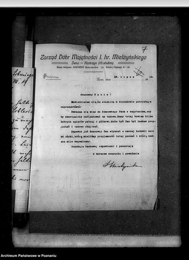 Obraz 11 z jednostki "Sprawy stadnin stadniny - ogólne zarządu stadnin"