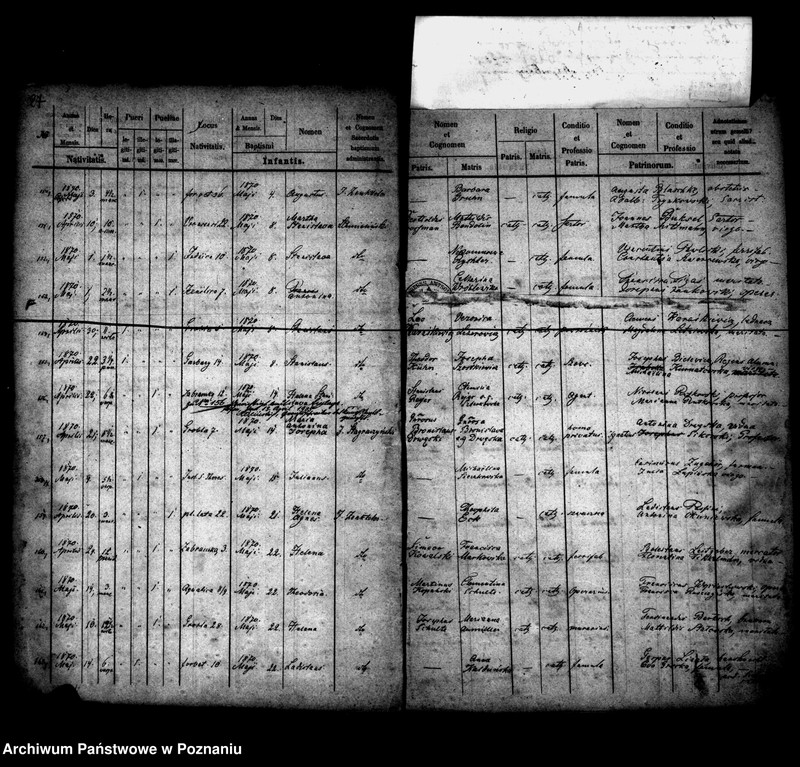 Obraz 16 z jednostki "Księga urodzin"