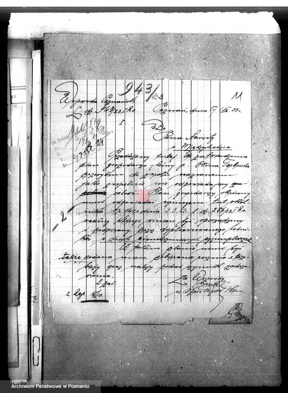 Obraz 15 z jednostki "Nadzór nad gospodarką w lasach majątku Bukowce powiat międzychodzki"