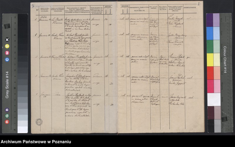 Obraz 4 z jednostki "Księga małżeństw"