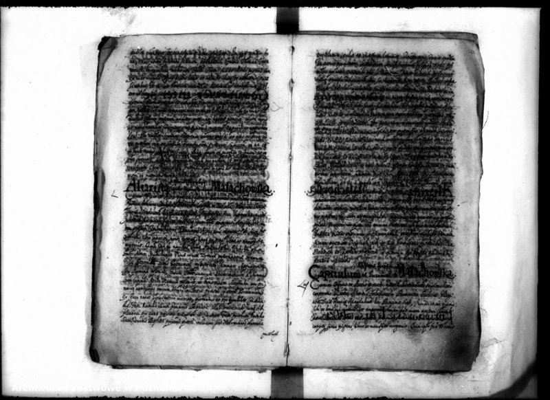 Obraz 14 z jednostki "Inscriptiones [inducta]"