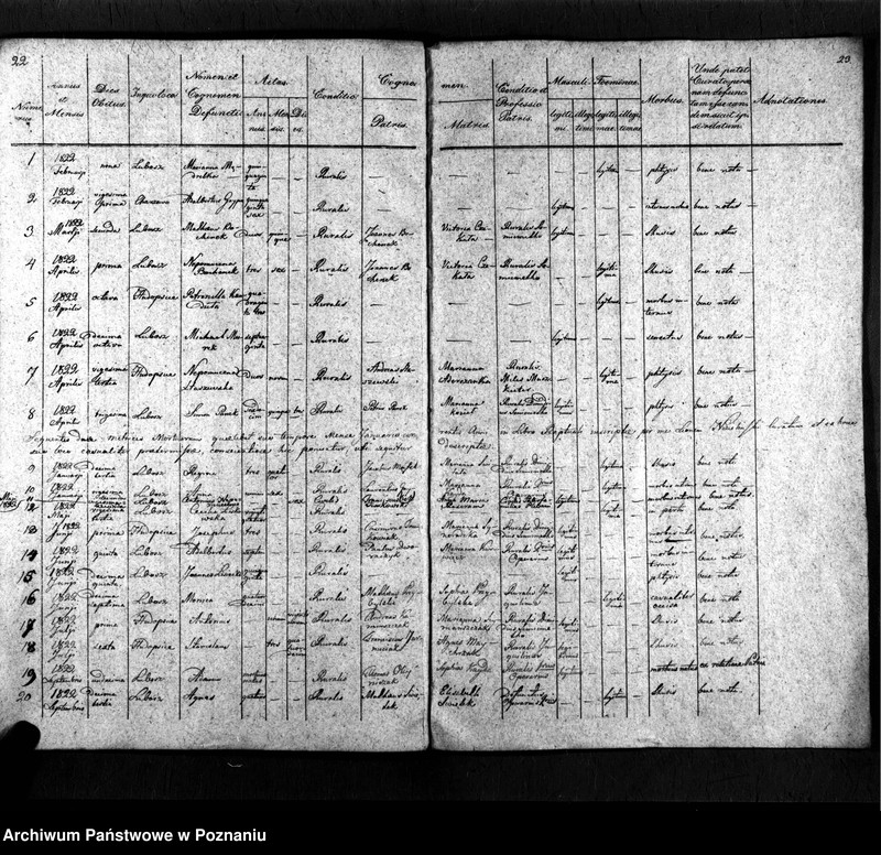 image.from.unit.number "Duplicat baptisatorum, copulatorum, mortuorum"