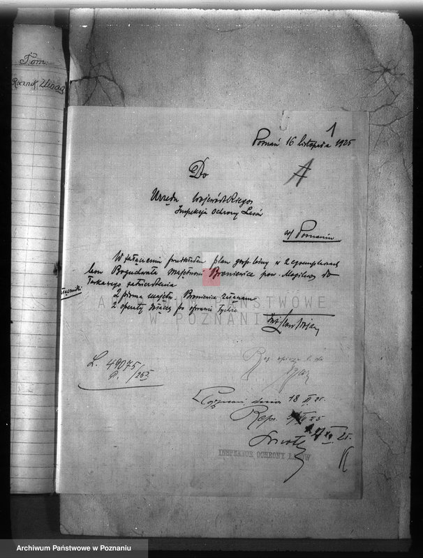 Obraz 5 z jednostki "Majętność leśna /Bronie wiec/ powiat mogileński"