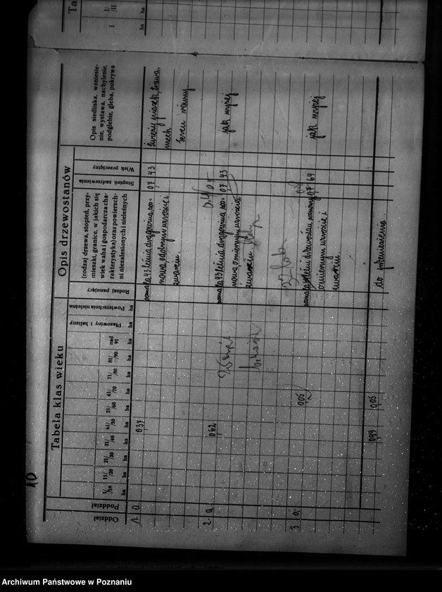 Obraz 15 z jednostki "/Program gospodarstw leśnych znajdujących się na terenie powiatu wolsztyńskiego/"