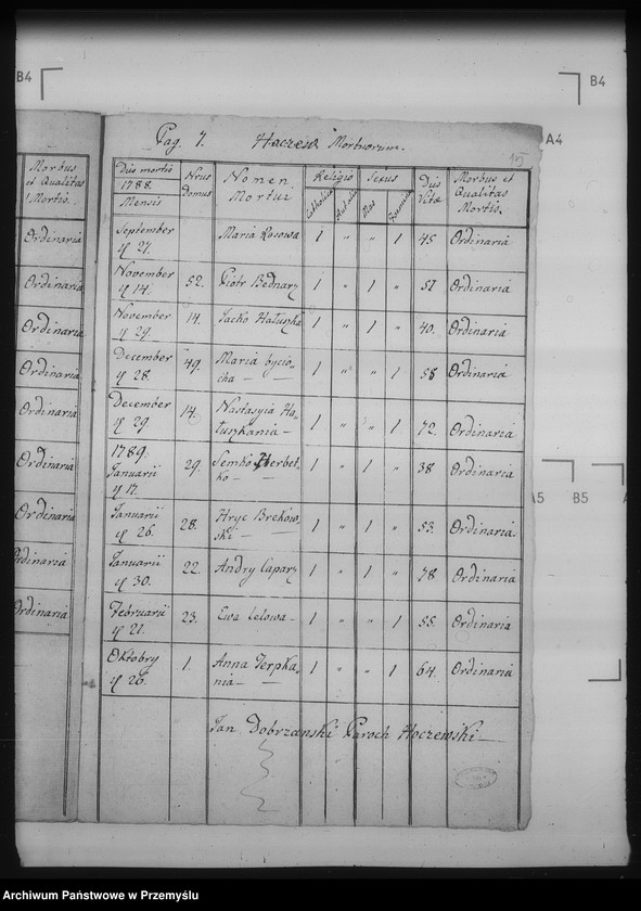 Obraz 19 z jednostki "[Kopie ksiąg metrykalnych parafii Hoczew z filiami Bachlowa, Dziurdziów (dekanat Baligród)]"