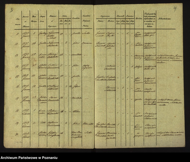 Obraz 5 z jednostki "Księga zgonów"