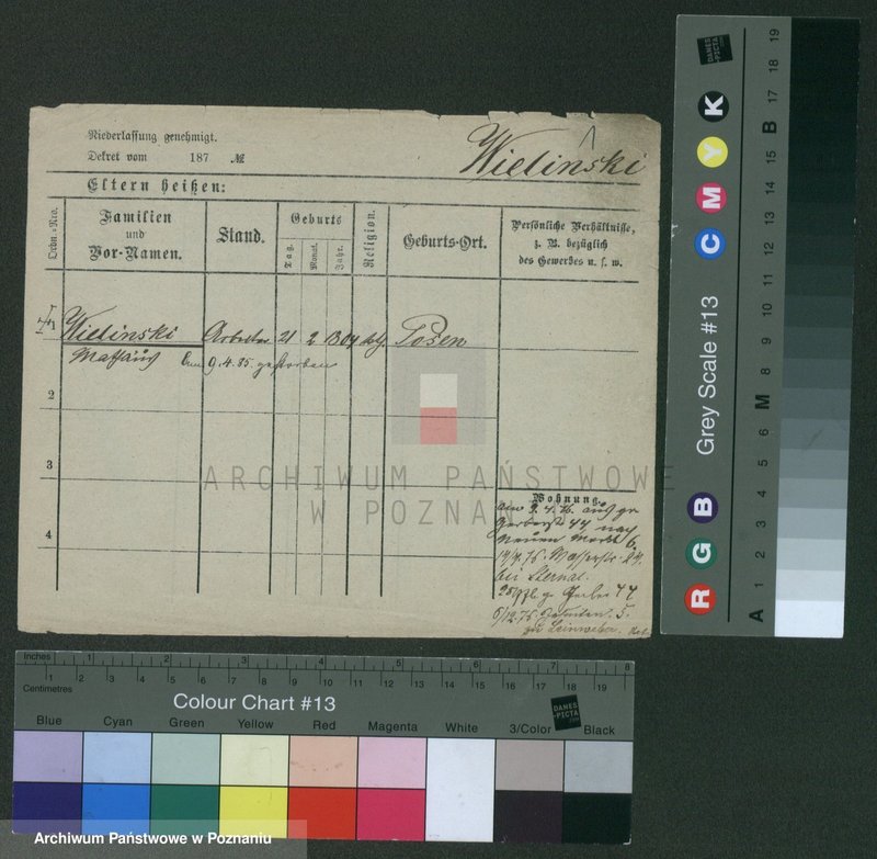 Obraz 5 z jednostki "Wieczorkiewicz - Wiertel"