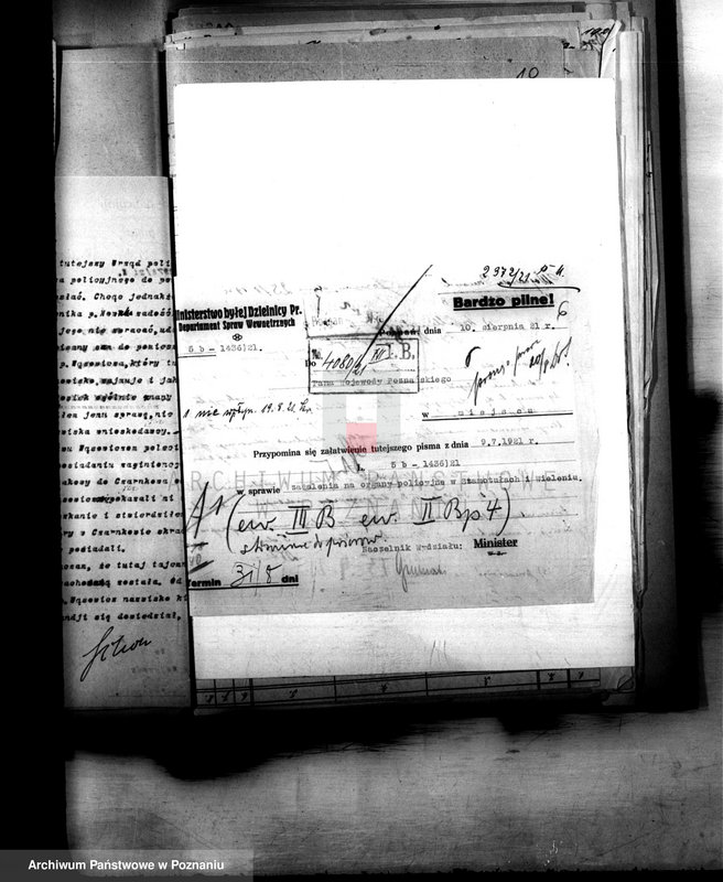 Obraz 10 z jednostki "Różności miasta Wielenia"