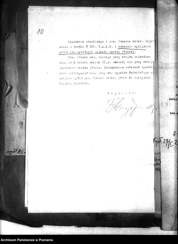 Obraz 14 z jednostki "Zaraza płucna - Międzychód"