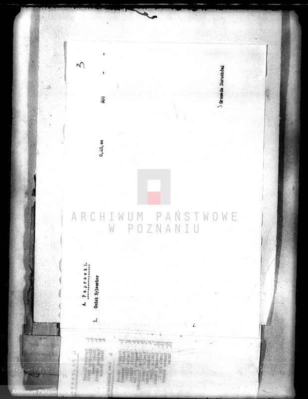 Obraz 7 z jednostki "/Sprawozdania z zalesienia nieużytków na terenie powiatu kępińskiego"