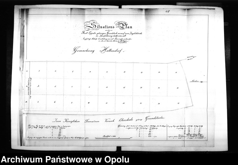 Obraz 19 z jednostki "Acta des Magistrats zu Oppeln betreffend den projektirten Bau eines Ringziegelofens auf Oberschale"