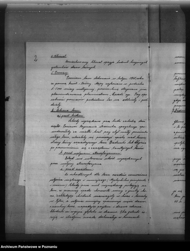 Obraz 5 z jednostki "Program urządzenia gospodarstwa leśnego dla lasu majętności Glinno powiat poznański 1928-1938"