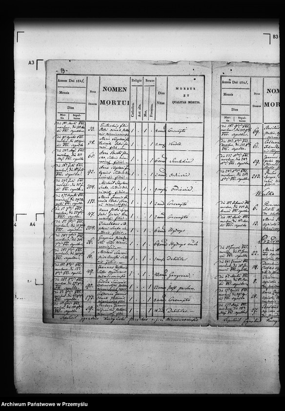 Obraz 17 z jednostki "[Kopie ksiąg metrykalnych parafii Niemirów z filiami Wólka Niemirowska i Przedmieście (dekanat Niemirów)]"