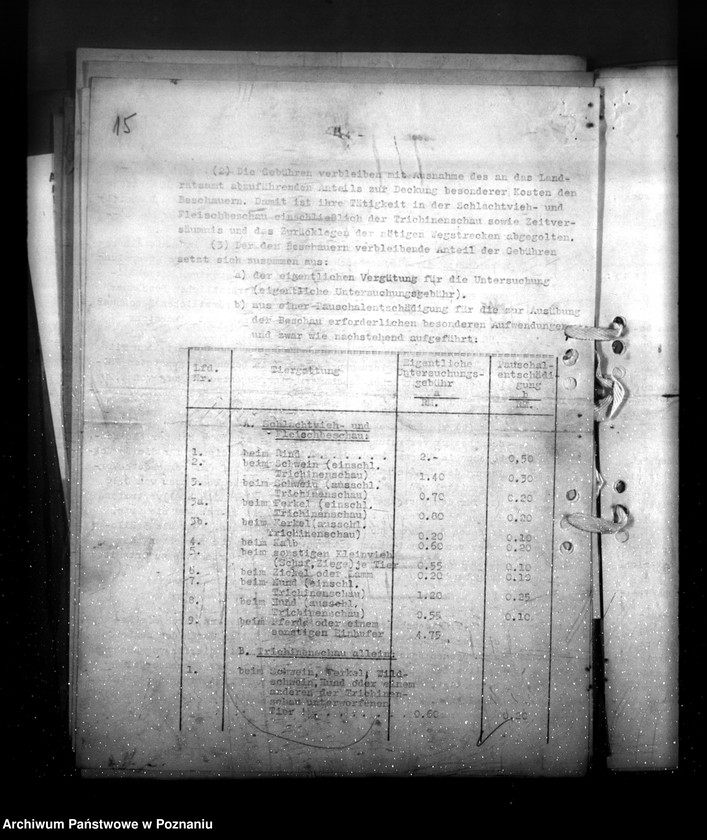 Obraz 19 z jednostki "Verordnungsblatt Nr. 21"