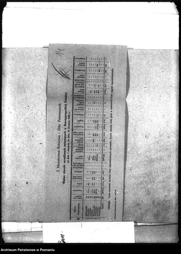 Obraz 18 z jednostki "Wykaz chorób zwierzęcych zaraźliwych w Rzeczypospolitej Polskiej"