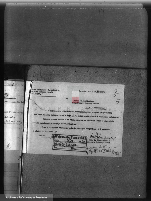 image.from.unit.number "Nadzór nad gospodarką w lasach miasta Ostrowa"