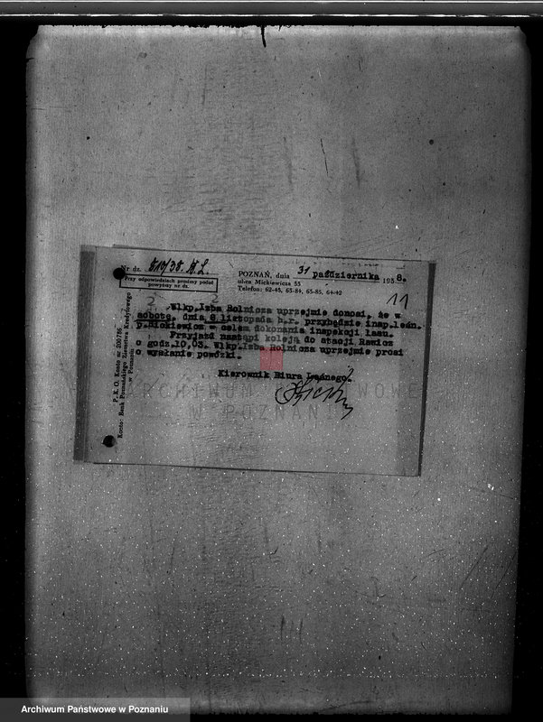 Obraz 15 z jednostki "Nadzór nad gospodarką w lasach Konarzewa powiatu rawickiego"