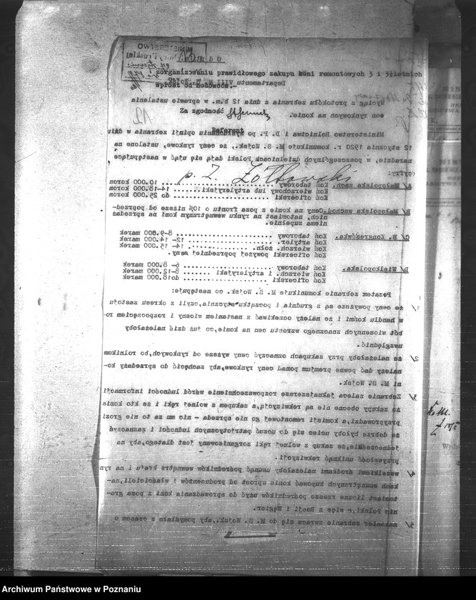 Obraz 17 z jednostki "Konie"