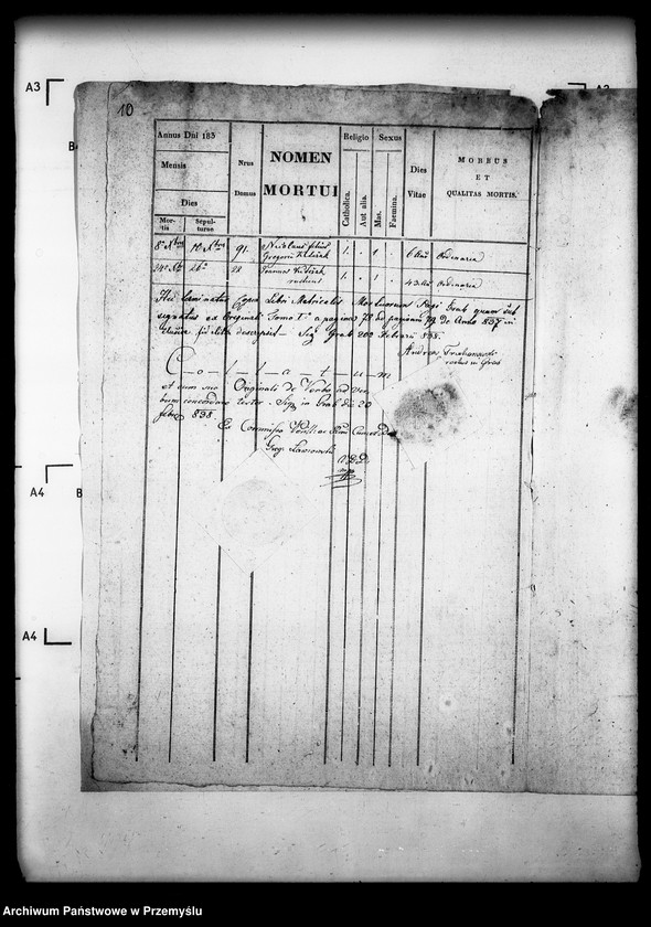 Obraz 14 z jednostki "[Kopie ksiąg metrykalnych parafii Grab z filiami Ożenna, Wyszowatka (dekanat Dukla)]"