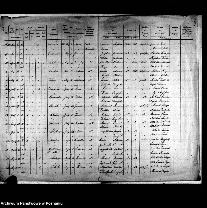 image.from.unit.number "Duplicatus baptisatorum, copulatorum, mortuorum"