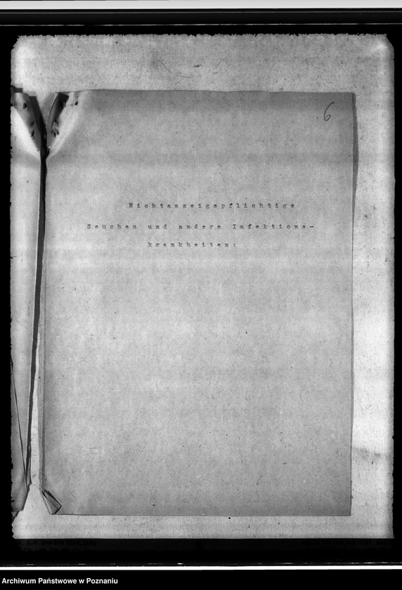 Obraz 10 z jednostki "Jahresveterinärbericht der Regierungs- Veterinärratstelle des Kreises Hermannsbad"