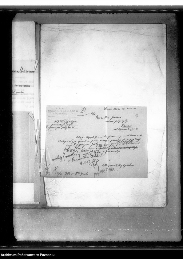 Obraz 11 z jednostki "Parcelacja prywatna Pępowo powiatu gostyńskiego"