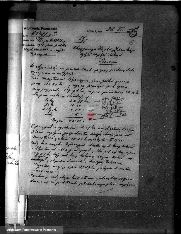 Obraz 10 z jednostki "Majętność leśna Dzięczyna w powiecie gostyńskim"