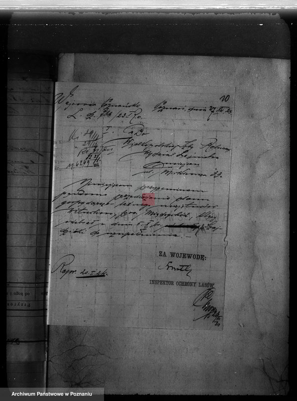 Obraz 12 z jednostki "Majętność Wituchowo w powiecie międzychodzkim"