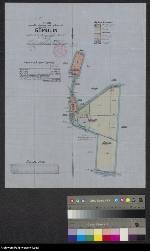 Obraz 1 z jednostki "Plan gruntów stanowiących własność kościoła we wsi Gomulin ..."