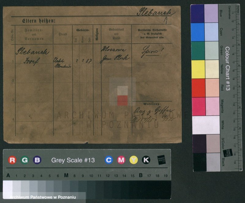 Obraz 1 z jednostki "Plebanek - Plewke"