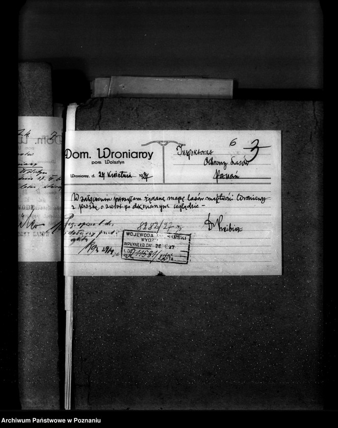 Obraz 10 z jednostki "Majętność leśna Wroniawy powiat wolsztyński"