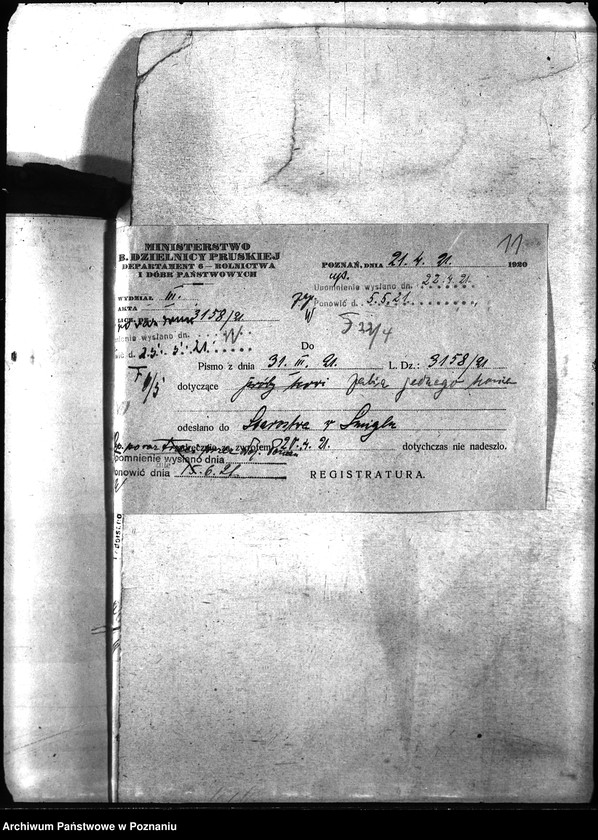 Obraz 15 z jednostki "Nosacizna - Śmigiel"