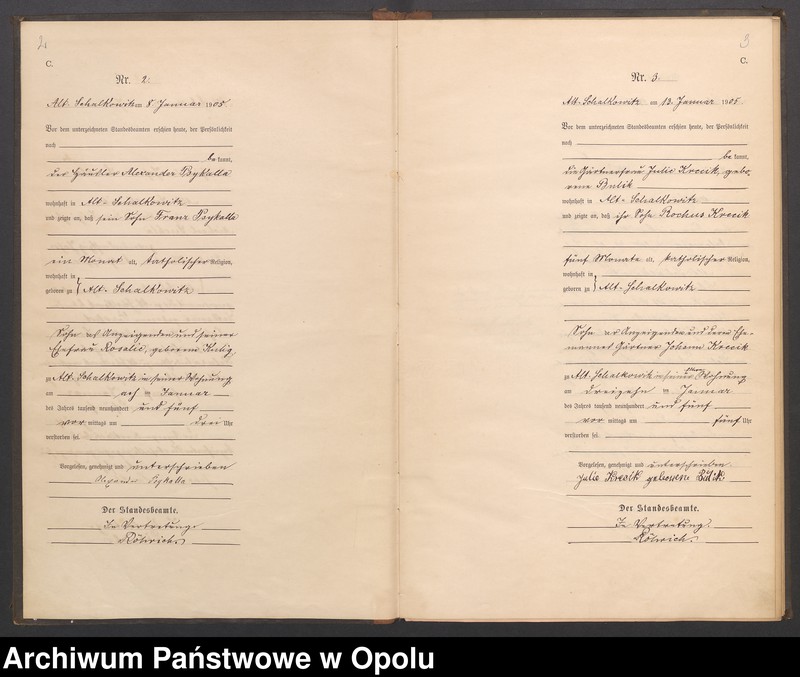 Obraz z jednostki "Księga zgonów miejscowa Siołkowice Stare za rok 1905"