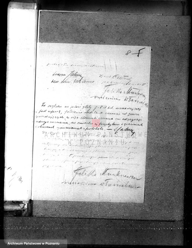 Obraz 12 z jednostki "Majętność leśna Jeżewo w powiecie gostyńskim"