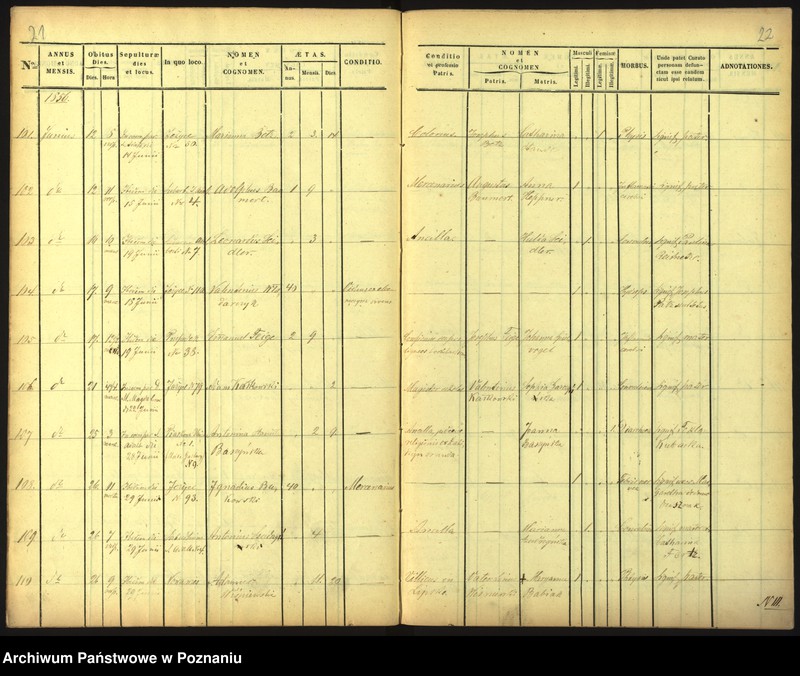 Obraz 14 z jednostki "Księga zgonów"
