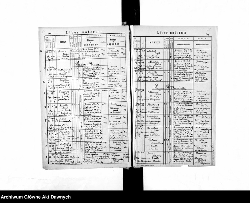 image.from.unit.number "Parafia: Kozowa. Dekanat: Brzeżany. Księga metrykalna urodzeń, ślubów i zgonów dla miasta Kozowa i wsi: Helenków, Kalne, Krzywe, Litiatyn*, Słoboda Złota; Teofipólka, Szczepanów*, Wiktorówka, Telacze*, Uwsie."