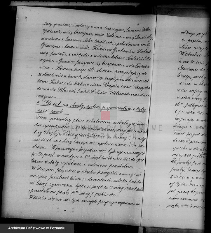 Obraz 7 z jednostki "/Las miasta Kalisza nadzór nad gospodarką/"