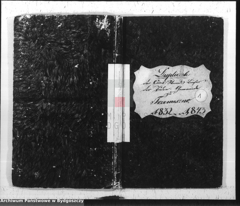 image.from.unit.number "Duplicate der Civil Standes Bücher der Juden Gemeinde zu Trzemeszno"