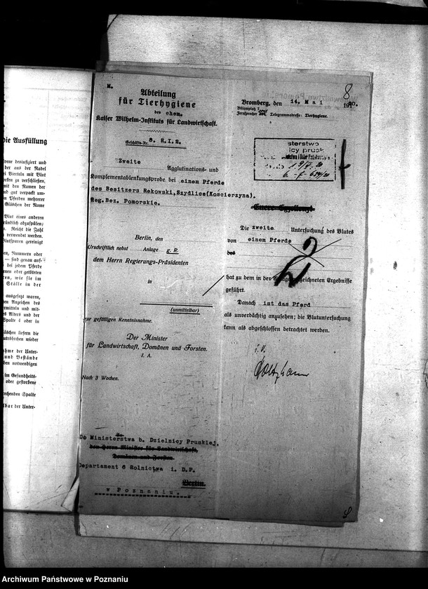 Obraz 12 z jednostki "Nosacizna - Kościerzyna"