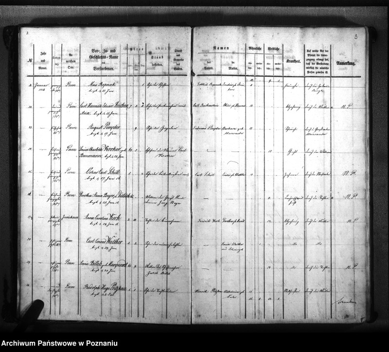 Obraz 5 z jednostki "Sterbenbuch"