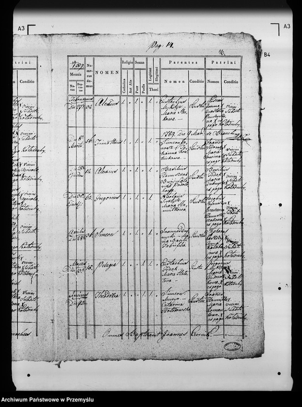 Obraz 19 z jednostki "[Kopie ksiąg metrykalnych parafii Kołodruby (dekanat Komarno)]"