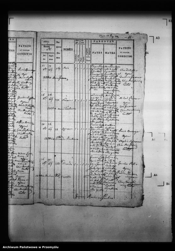Obraz 16 z jednostki "[Kopie ksiąg metrykalnych parafii Wierzbiany (dekanat Niemirów)]"