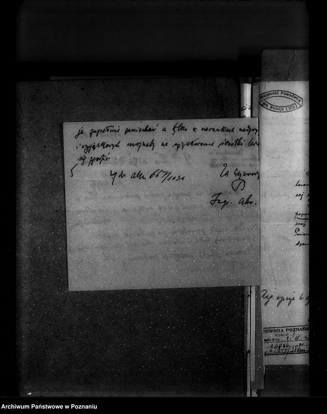 Obraz 9 z jednostki "Majętność leśna Powodowo powiat wolsztyński"