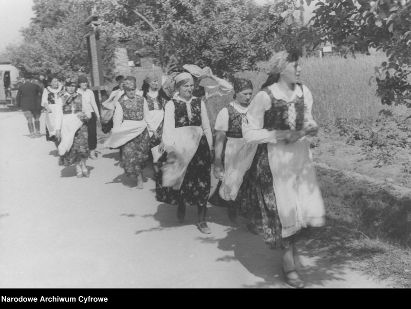 Obraz 4 z jednostki "Mieszkańcy Liskowa"