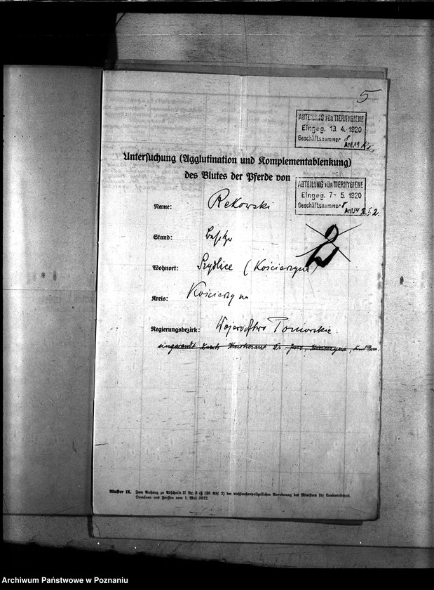 Obraz 9 z jednostki "Nosacizna - Kościerzyna"