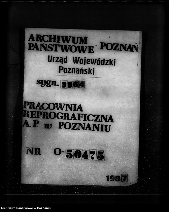 Obraz 1 z jednostki "Parcele leśne pod nazwą,,Zakrzew" powiat turecki"