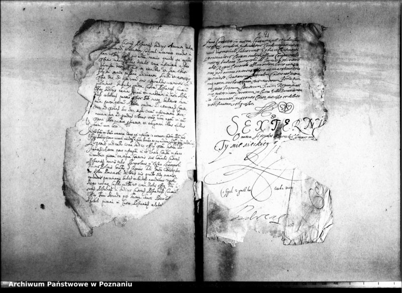 Obraz 5 z jednostki "Decreta officii [inducta]"