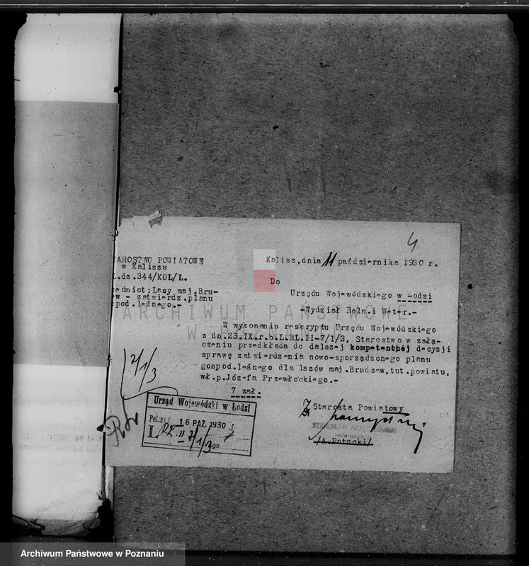 Obraz 8 z jednostki "Lasy majątku Brudzew w powiecie kaliskim"