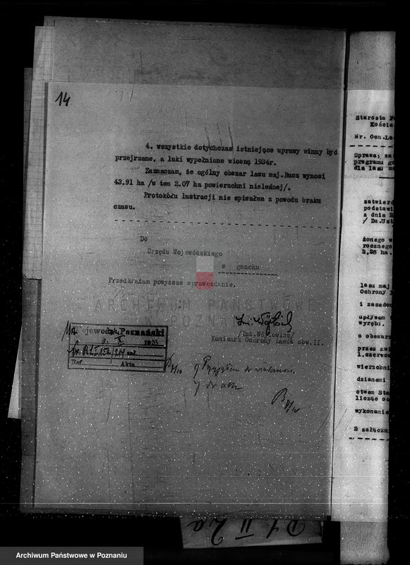 Obraz 18 z jednostki "Nadzór nad gospodarką w lasach majętności Bucz powiat kościański"