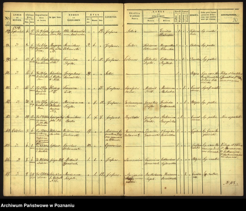 Obraz 13 z jednostki "Księga zgonów"
